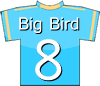 8 Big Bird - Cillit Bang FC Player